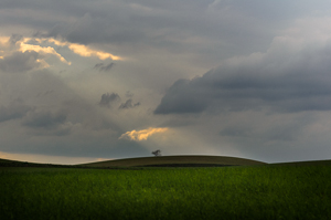 Fine art photographer Marta Reszka - countryside photography