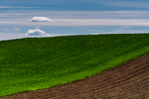 Fine art photographer Marta Reszka - countryside photography